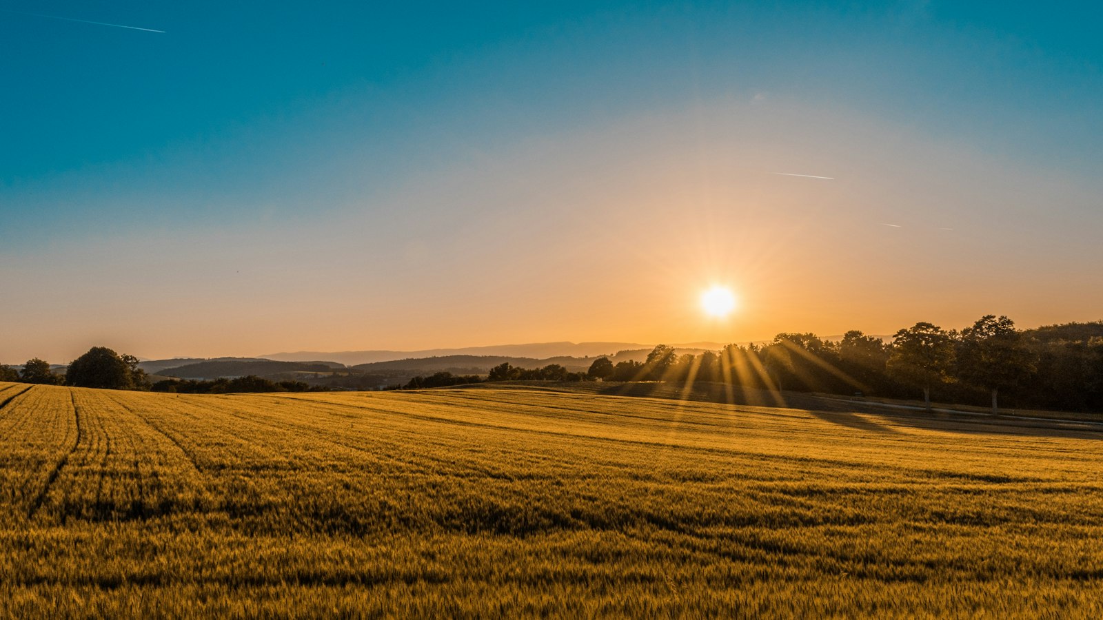 Golden Nottinghamshire countryside near Calverton and Oxton at sunset